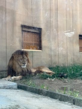 東武動物公園に投稿された画像（2025/8/20）