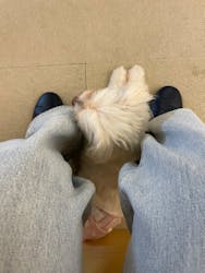 Moff アニマル カフェ イーアス 高尾店に投稿された画像（2025/8/20）