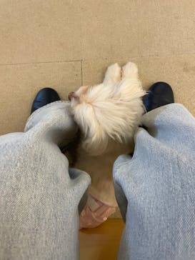 Moff アニマル カフェ イーアス 高尾店に投稿された画像（2025/8/20）