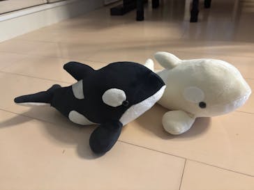 名古屋港水族館に投稿された画像（2025/8/20）