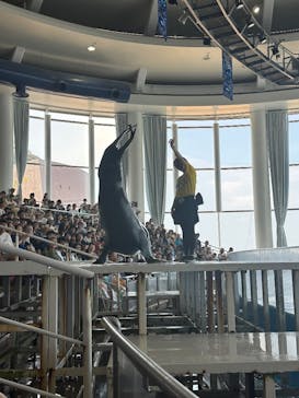 アクアワールド茨城県大洗水族館に投稿された画像（2025/8/20）