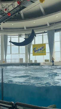 アクアワールド茨城県大洗水族館に投稿された画像（2025/8/20）