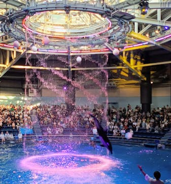 マクセル アクアパーク品川に投稿された画像（2025/8/20）