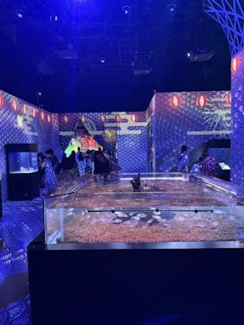 マクセル アクアパーク品川に投稿された画像（2025/8/20）