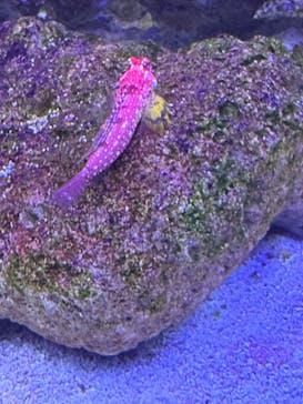 マクセル アクアパーク品川に投稿された画像（2025/8/20）