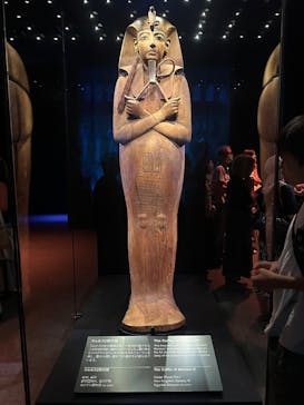 ACN ラムセス大王展 ファラオたちの黄金に投稿された画像（2025/8/20）