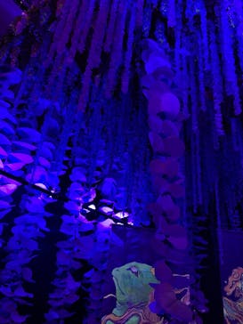 動き出す妖怪展 NAGOYA 〜Imagination of Japan〜に投稿された画像（2025/8/20）