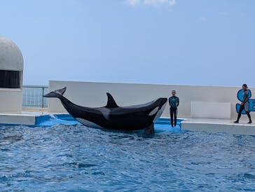 鴨川シーワールドに投稿された画像（2025/8/20）