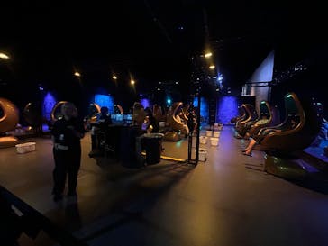 ACN ラムセス大王展 ファラオたちの黄金に投稿された画像（2025/8/20）