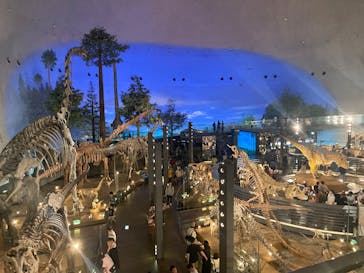 福井県立恐竜博物館に投稿された画像（2025/8/20）