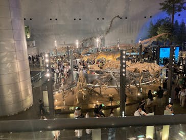 福井県立恐竜博物館に投稿された画像（2025/8/20）