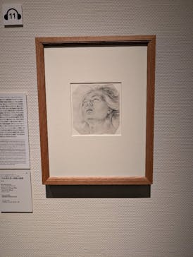 スウェーデン国立美術館　素描コレクション展―ルネサンスからバロックまでに投稿された画像（2025/8/20）