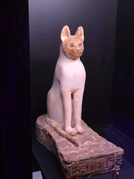 ACN ラムセス大王展 ファラオたちの黄金に投稿された画像（2025/8/20）