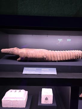 ACN ラムセス大王展 ファラオたちの黄金に投稿された画像（2025/8/20）