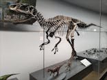 福井県立恐竜博物館に投稿された画像（2025/8/20）