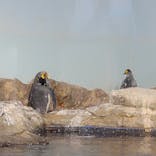 マクセル アクアパーク品川に投稿された画像（2025/8/20）