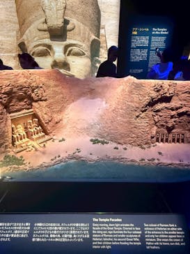 ACN ラムセス大王展 ファラオたちの黄金に投稿された画像（2025/8/20）