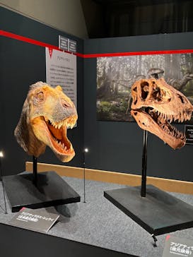 福井県立恐竜博物館に投稿された画像（2025/8/20）