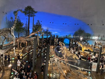 福井県立恐竜博物館に投稿された画像（2025/8/20）