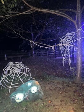 ニジゲンノモリに投稿された画像（2025/8/20）