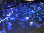 すみだ水族館に投稿された画像（2025/8/21）