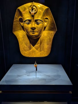 ACN ラムセス大王展 ファラオたちの黄金に投稿された画像（2025/8/20）