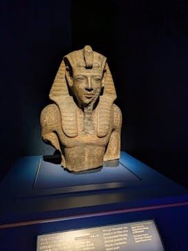 ACN ラムセス大王展 ファラオたちの黄金に投稿された画像（2025/8/20）