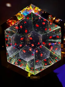 沖縄金魚ミュージアムに投稿された画像（2025/8/21）