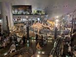 福井県立恐竜博物館に投稿された画像（2025/8/21）