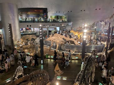 福井県立恐竜博物館に投稿された画像（2025/8/21）