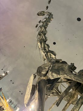 福井県立恐竜博物館に投稿された画像（2025/8/21）