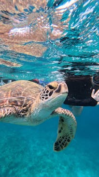  マリンショップHAPPYに投稿された画像（2025/8/21）