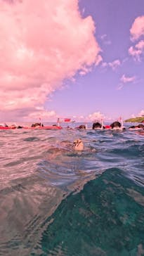  マリンショップHAPPYに投稿された画像（2025/8/21）