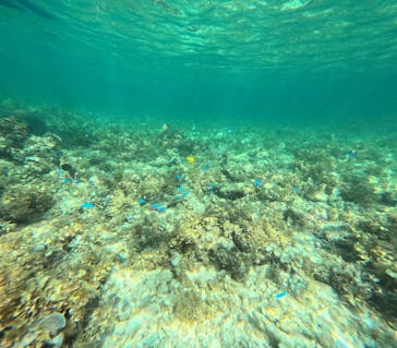  マリンショップHAPPYに投稿された画像（2025/8/21）