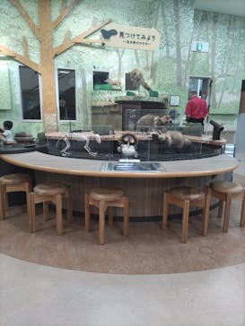 滋賀県立琵琶湖博物館に投稿された画像（2025/8/21）