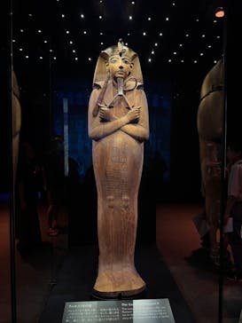 ACN ラムセス大王展 ファラオたちの黄金に投稿された画像（2025/8/21）