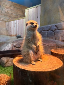 那須どうぶつ王国に投稿された画像（2025/8/21）