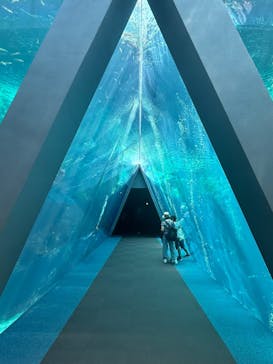 環境水族館アクアマリンふくしまに投稿された画像（2025/8/21）