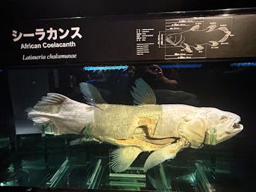 環境水族館アクアマリンふくしまに投稿された画像（2025/8/21）