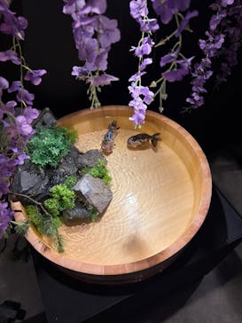 錦鯉・金魚アクアリウム in ときメッセに投稿された画像（2025/8/21）