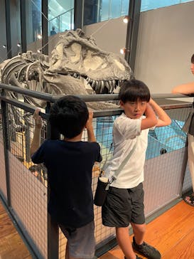 福井県立恐竜博物館に投稿された画像（2025/8/21）