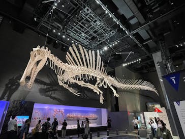 福井県立恐竜博物館に投稿された画像（2025/8/21）