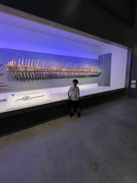 福井県立恐竜博物館に投稿された画像（2025/8/21）