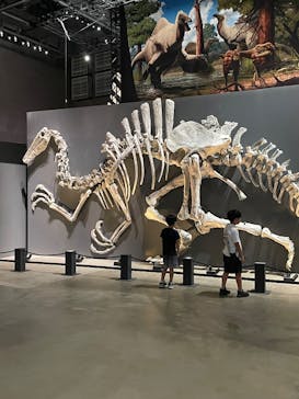 福井県立恐竜博物館に投稿された画像（2025/8/21）