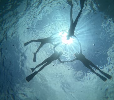 青の洞窟専門店　沖縄ダイビングショップ和に投稿された画像（2025/8/21）