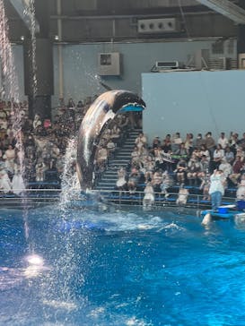 マクセル アクアパーク品川に投稿された画像（2025/8/21）