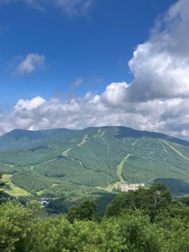 志賀高原ゴールデンラインに投稿された画像（2025/8/21）