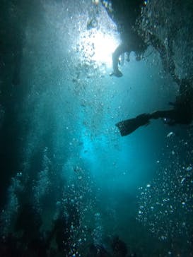 武藤潜水に投稿された画像（2025/8/21）