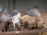 特別展「氷河期展 〜人類が見た4万年前の世界〜」（国立科学博物館）に投稿された画像（2025/8/21）
