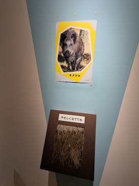 特別展「氷河期展 〜人類が見た4万年前の世界〜」（国立科学博物館）に投稿された画像（2025/8/21）